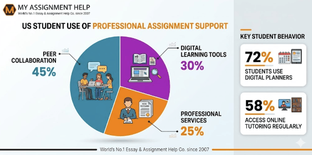 How American Students Are Navigating Online Academic Support
